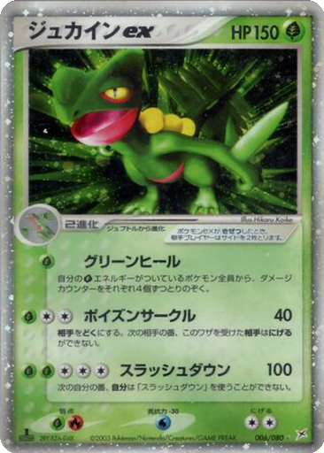 Sceptile ex 6 - Magma VS Aqua: Two Ambitions kart gorseli