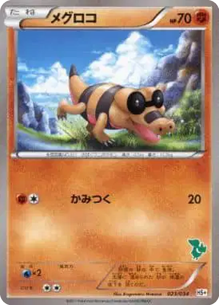 Sandile 23 - Beginning Set + kart görseli