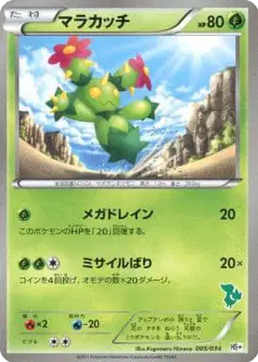 Maractus 5 - Beginning Set + kart gorseli