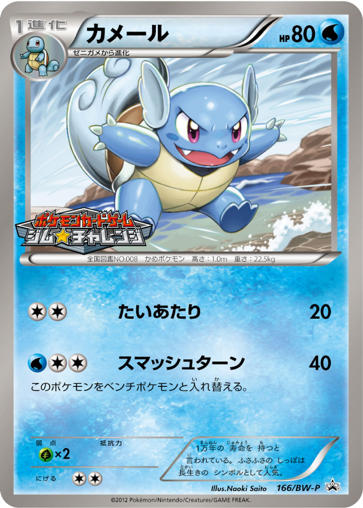 Wartortle 166 - Black & White Promos kart görseli