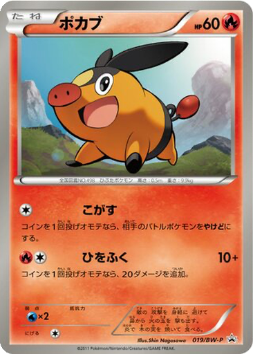 Tepig 19 - Black & White Promos kart gorseli