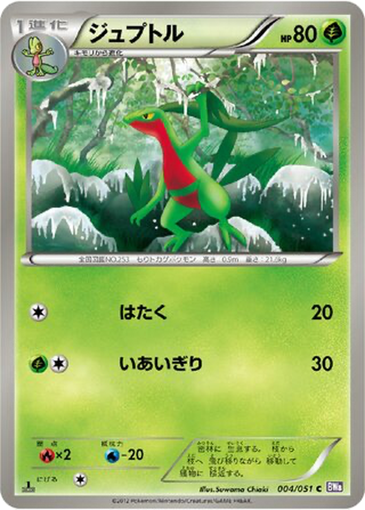 Grovyle 4 - Spiral Force kart görseli