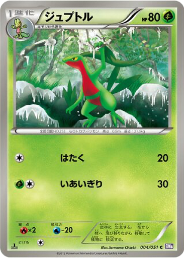 Grovyle 4 - Spiral Force kart gorseli