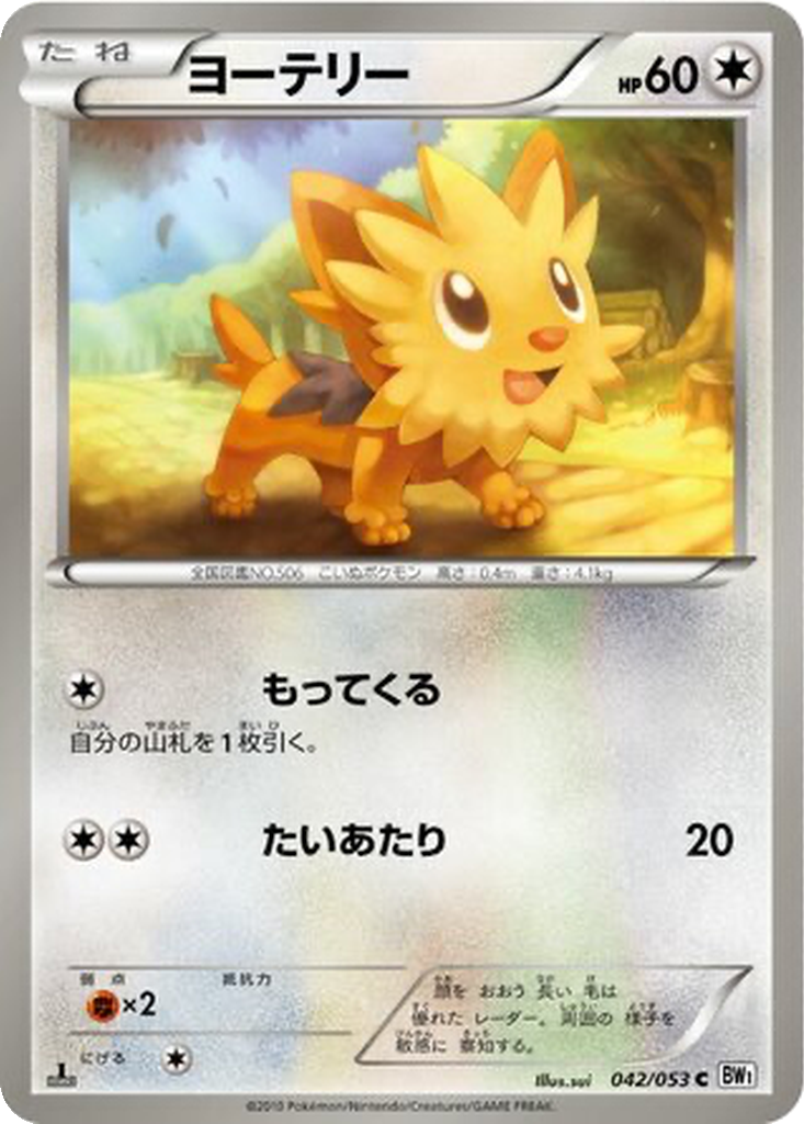 Lillipup 42 - White Collection kart görseli