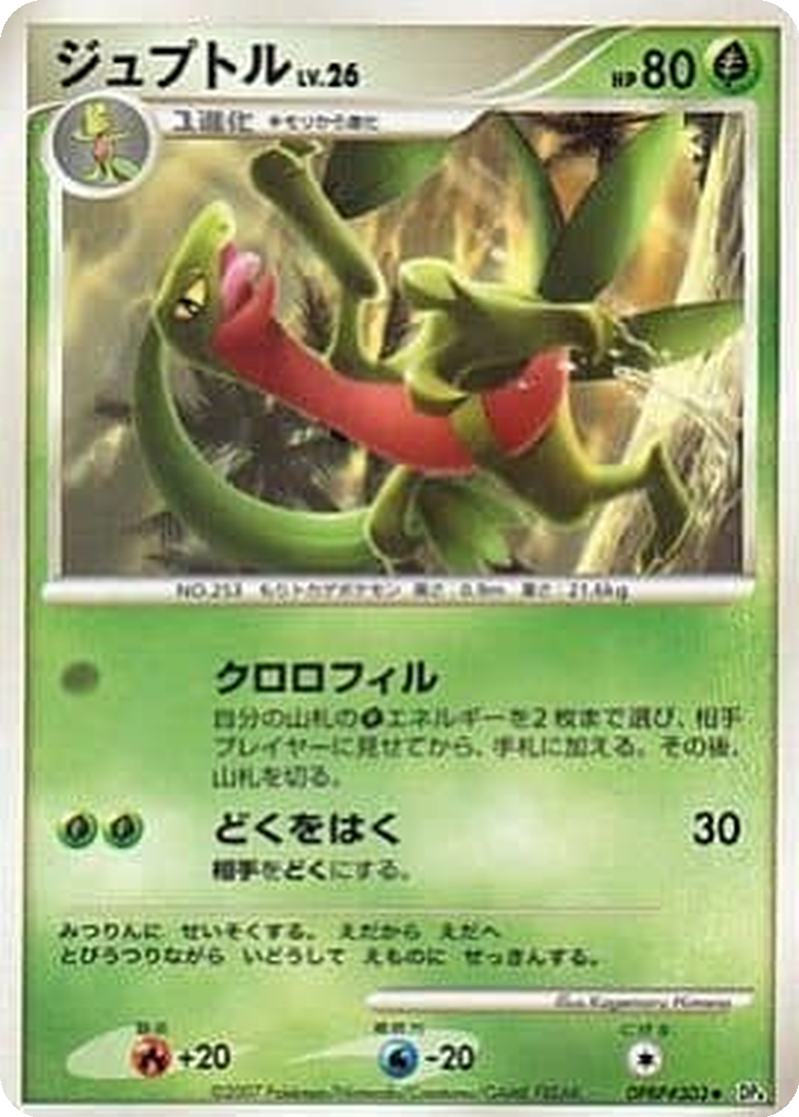 Grovyle 6 - Dawn Dash kart görseli