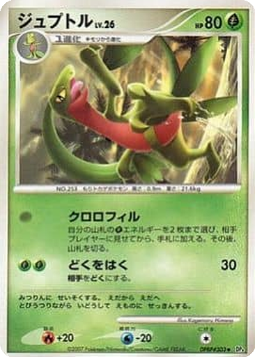 Grovyle 6 - Dawn Dash kart gorseli