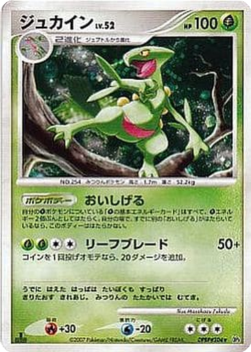 Sceptile 7 - Dawn Dash kart gorseli