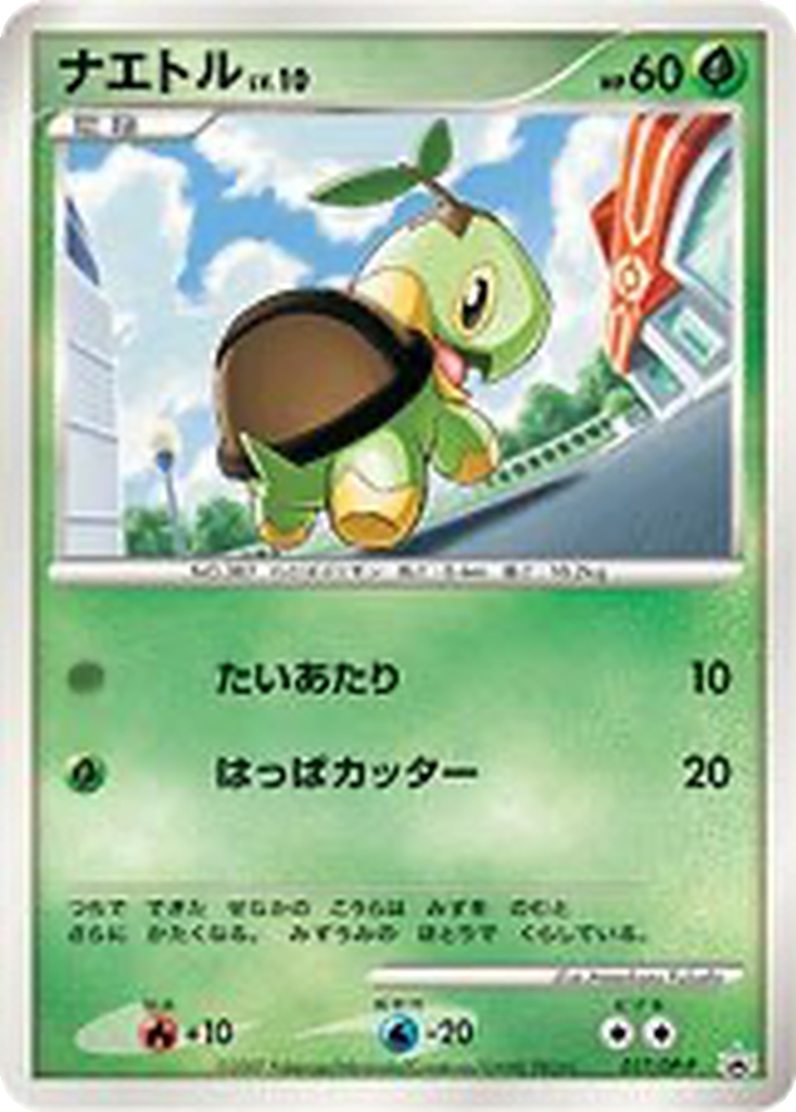 Turtwig 17 - Diamond & Pearl Promos kart görseli