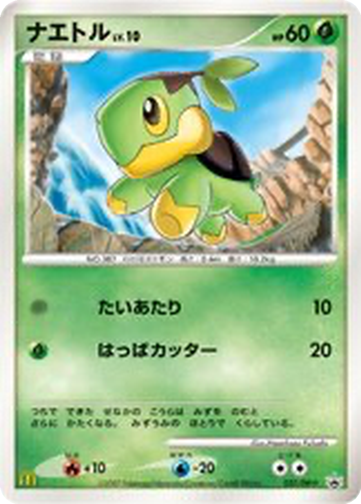 Turtwig 27 - Diamond & Pearl Promos kart görseli