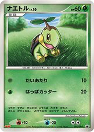 Turtwig 5 - Diamond & Pearl Promos kart gorseli