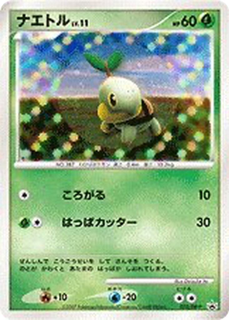 Turtwig 72 - Diamond & Pearl Promos kart görseli