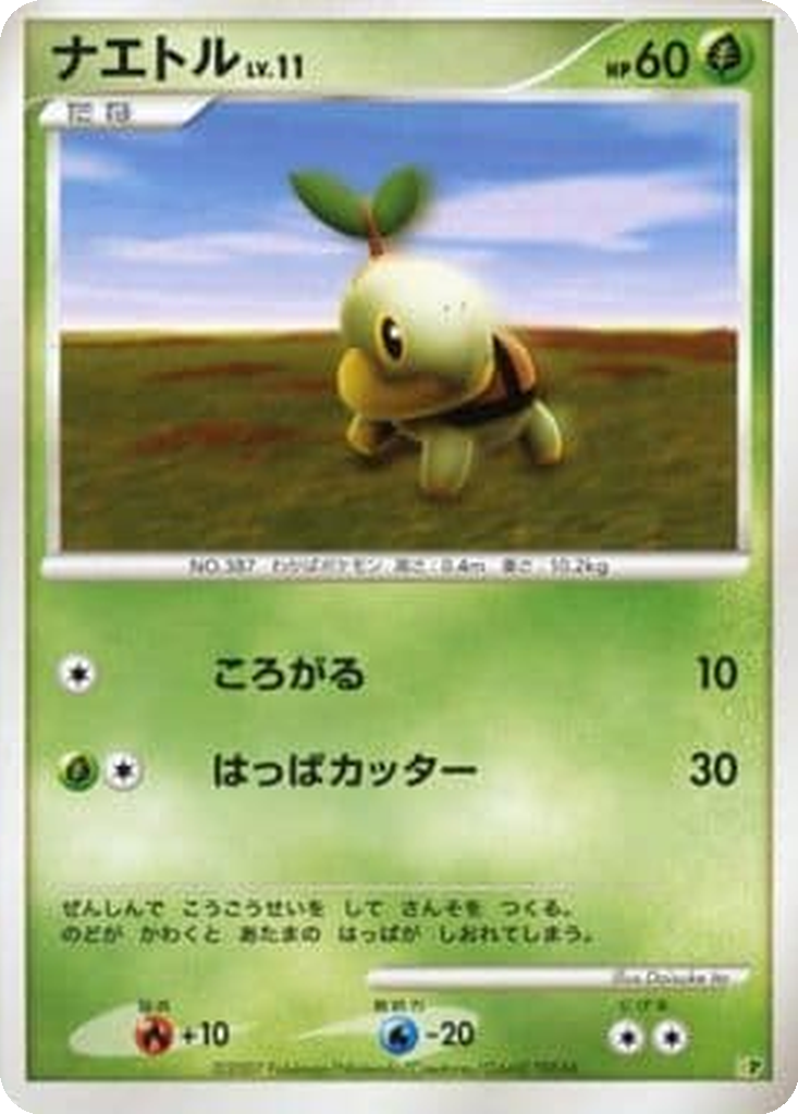 Turtwig 1 - Entry Pack '08 kart görseli