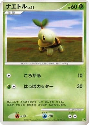 Turtwig kart görseli