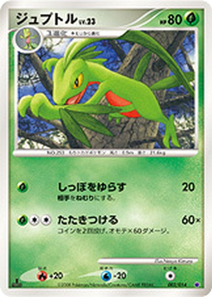 Grovyle 2 - Giratina vs Dialga Deck Kit: Giratina Half Deck kart görseli
