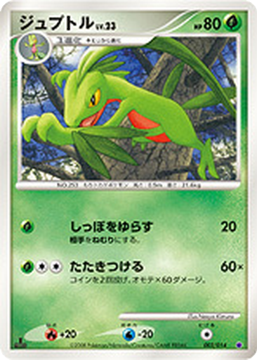 Grovyle kart görseli