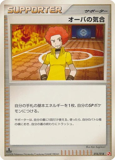 Flint's Willpower 16 - Infernape vs Gallade SP Deck: Infernape Half Deck kart gorseli