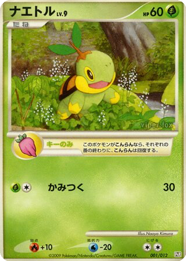 Turtwig kart görseli