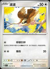 Pidgey 16 satış kartı görseli
