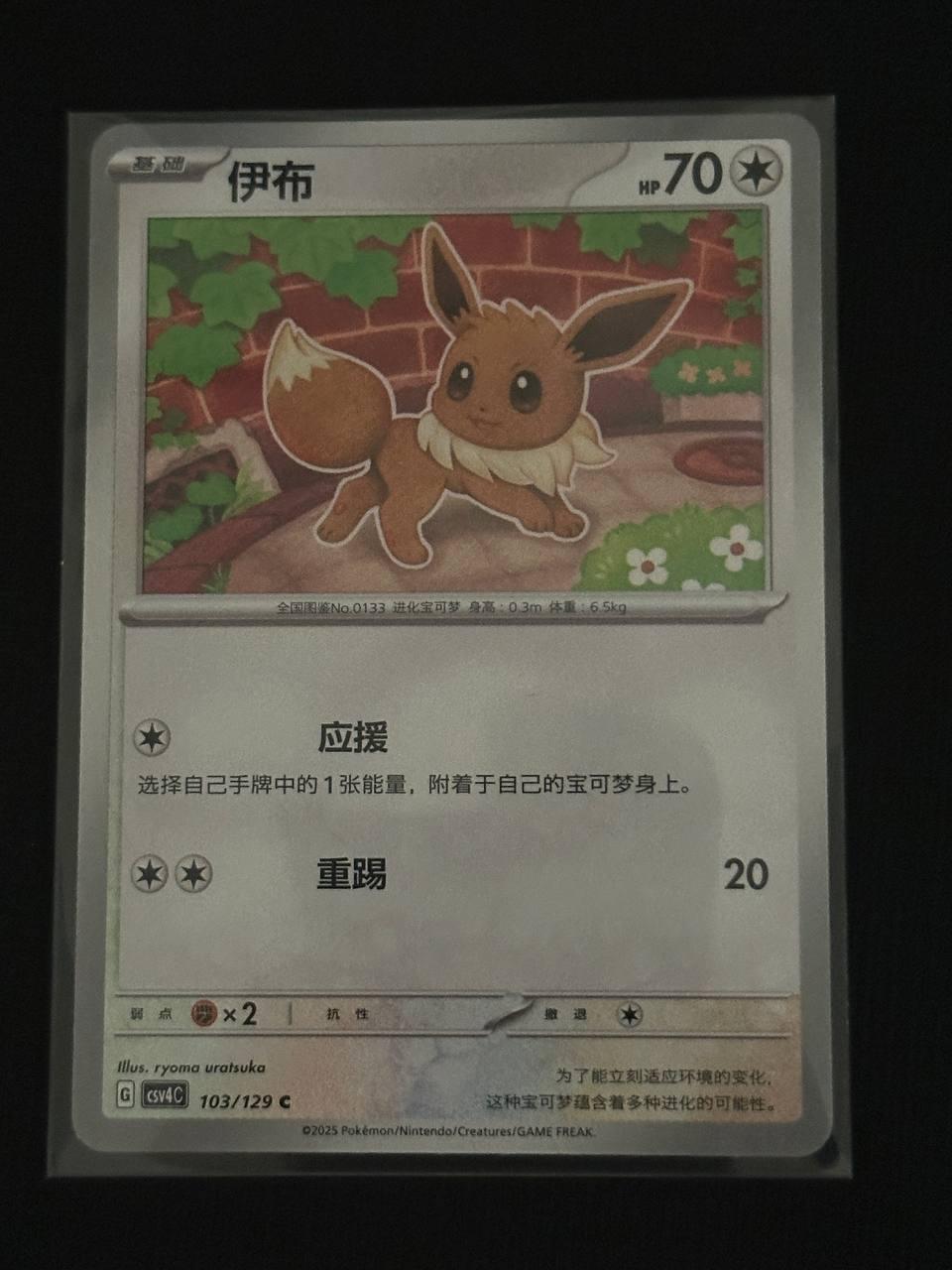 Eevee 103 - Reward Round CSV4C kart görseli