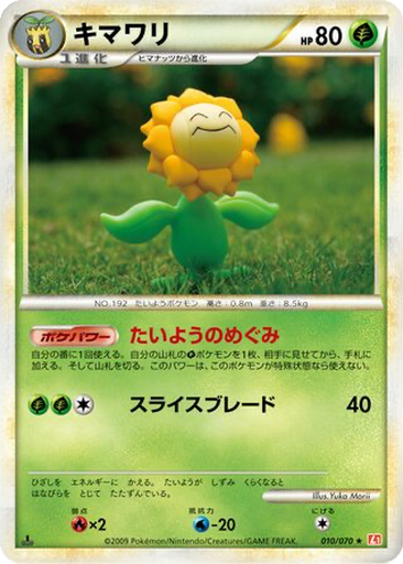 Sunflora kart görseli