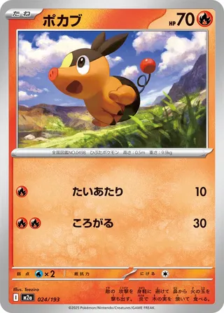 Tepig