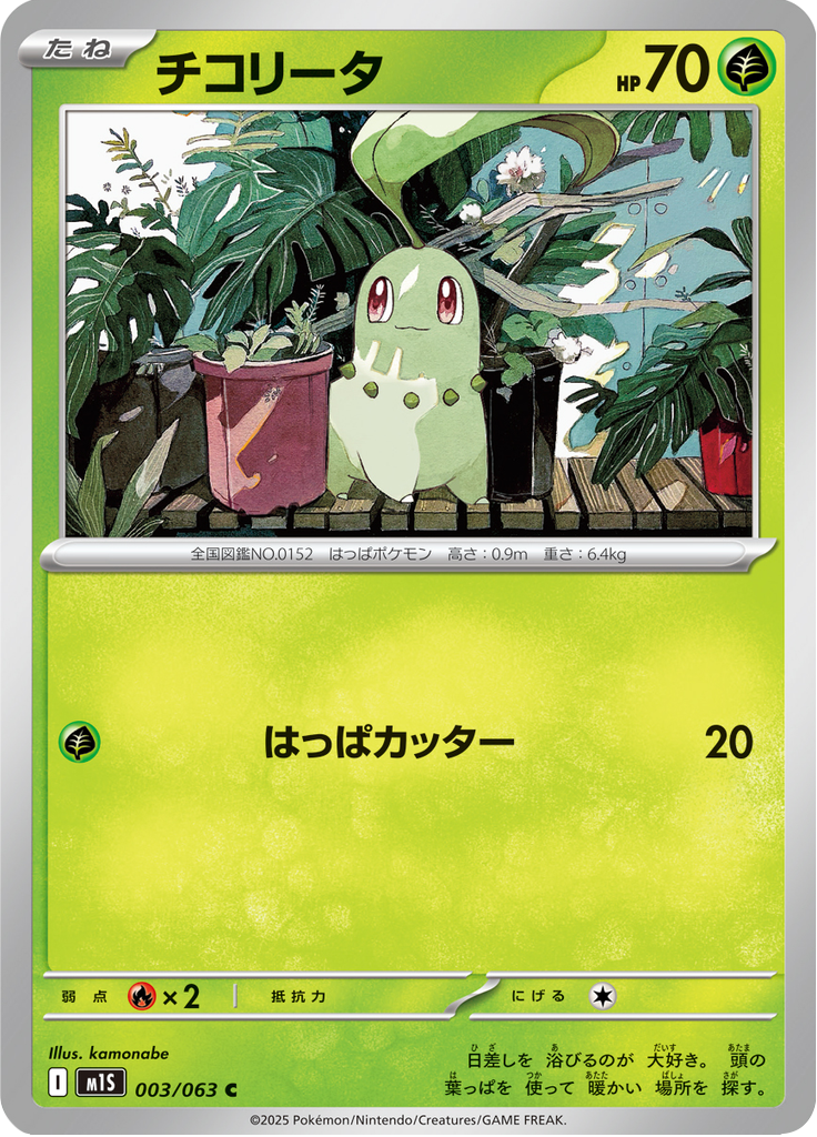 Chikorita