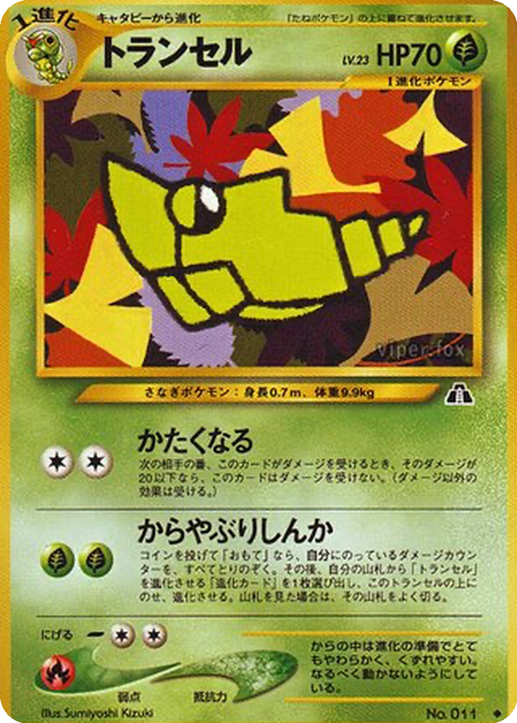 Metapod 6 - Crossing the Ruins... kart görseli