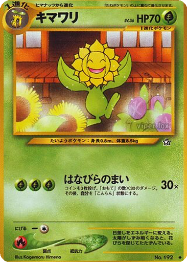 Sunflora kart görseli