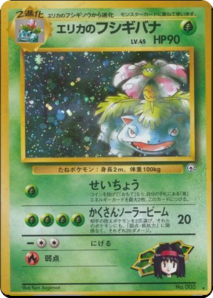 Erika's Venusaur 17 - Challenge from the Darkness kart görseli