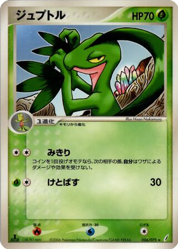 Grovyle 6 - Miracle Crystal kart gorseli
