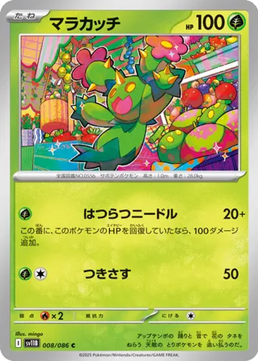 Maractus