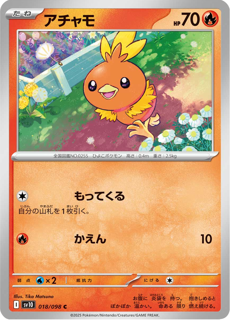 Torchic