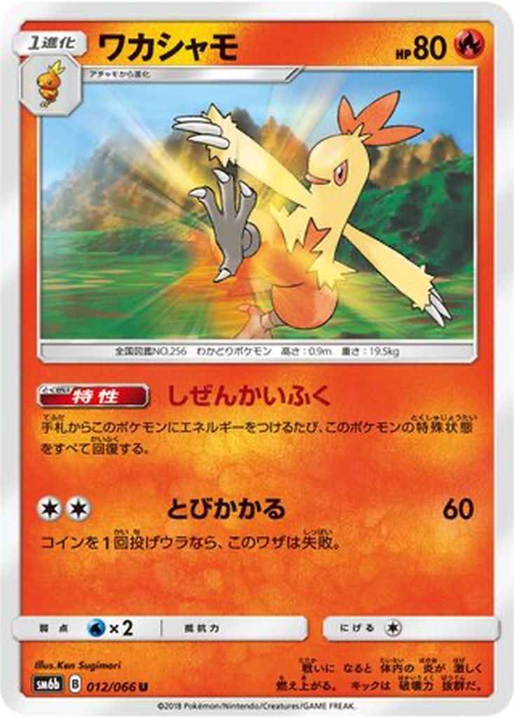 Combusken 12 - Champion Road kart görseli
