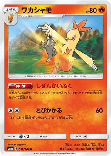 Combusken 12 - Champion Road kart gorseli