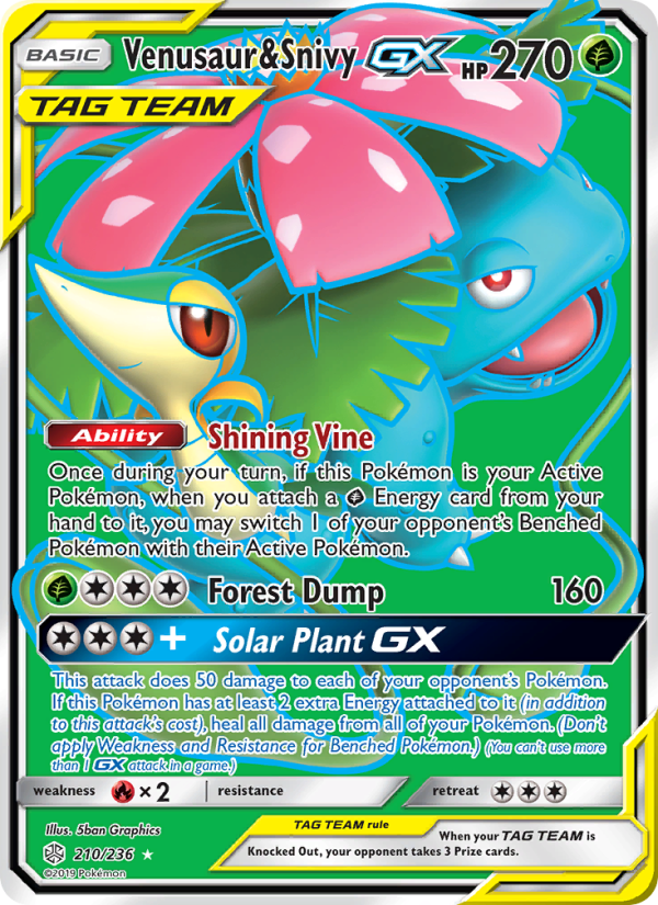 Venusaur & Snivy GX