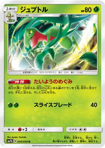 Grovyle 4 - Fairy Rise kart gorseli