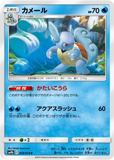 Wartortle 9 - Full Metal Wall kart gorseli
