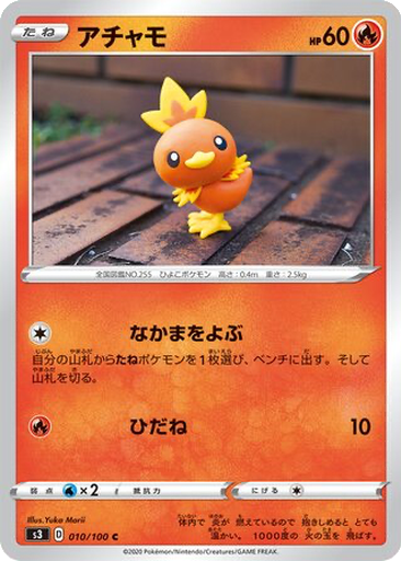 Torchic