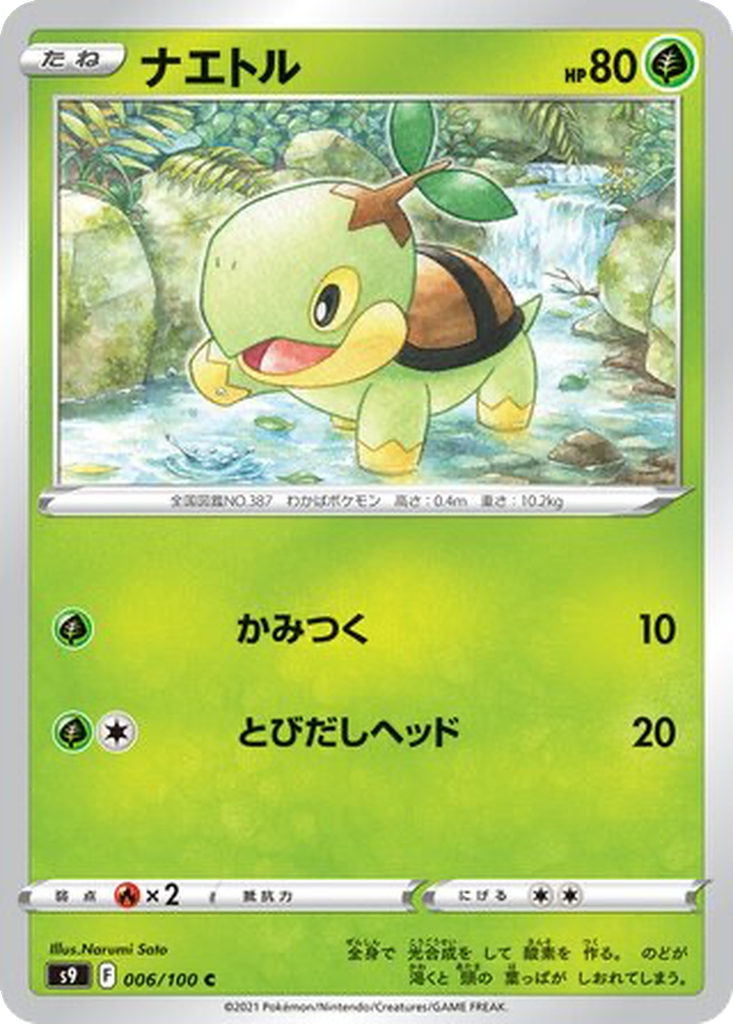 Turtwig
