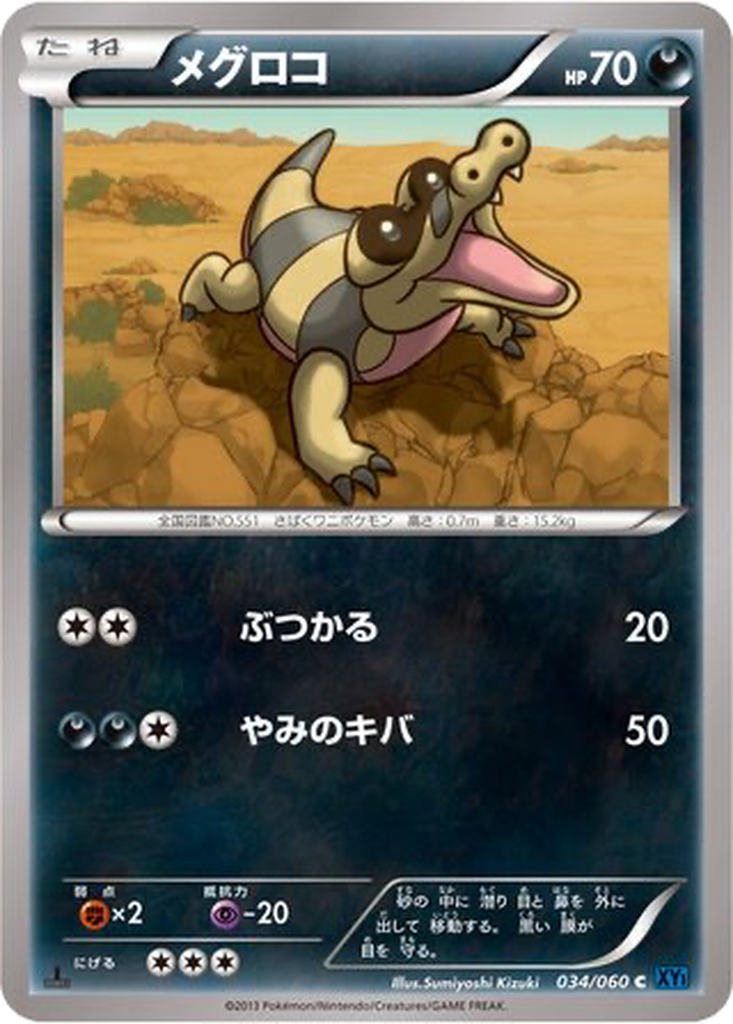 Sandile 34 - Collection X kart görseli