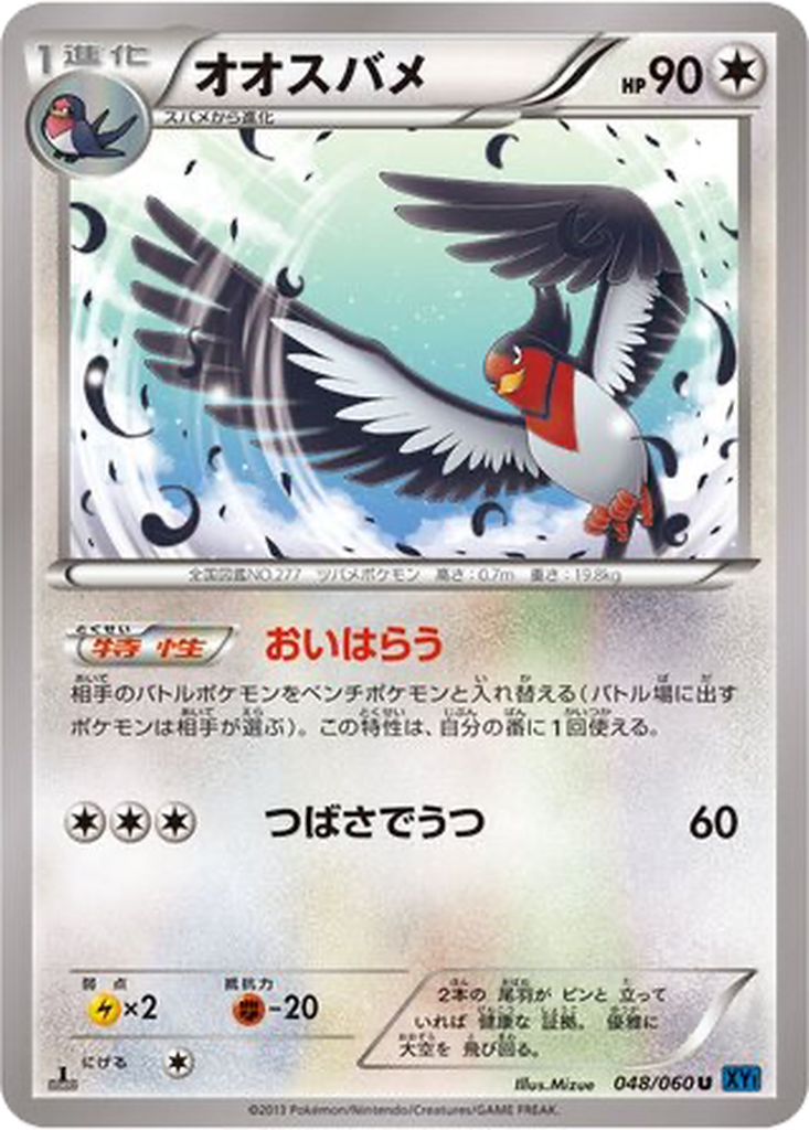 Swellow 48 - Collection X kart görseli