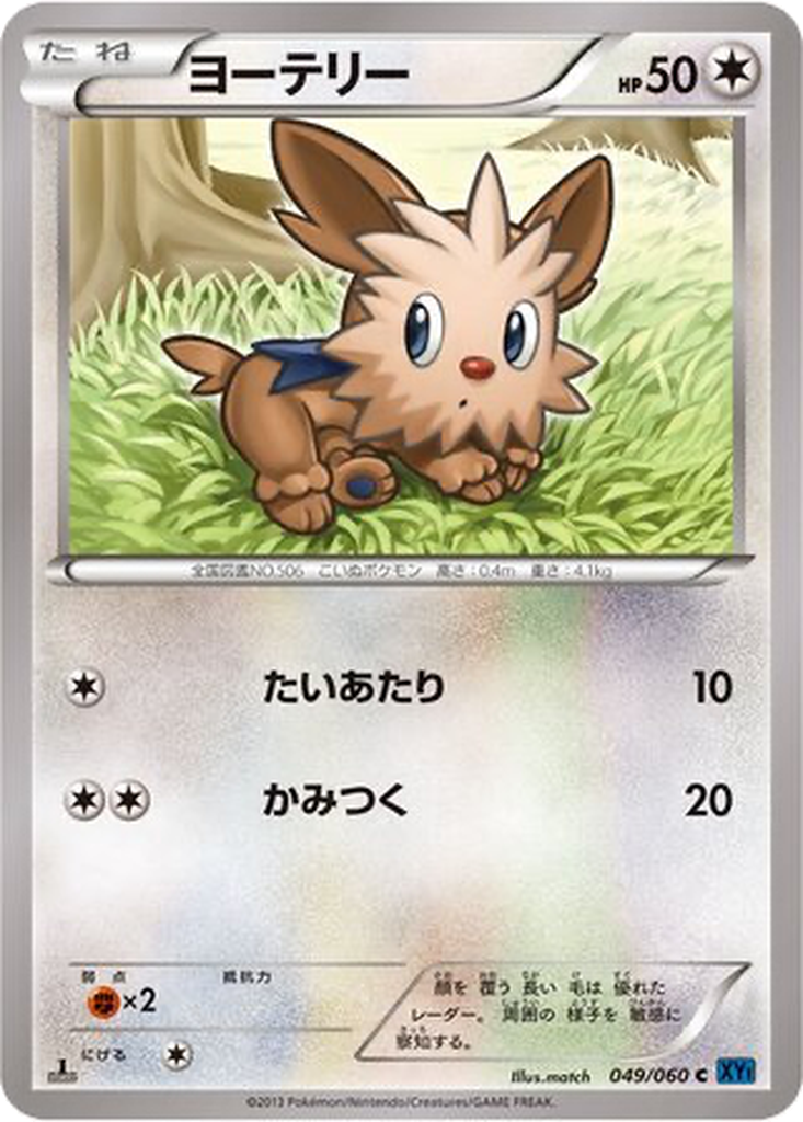 Lillipup 49 - Collection X kart görseli