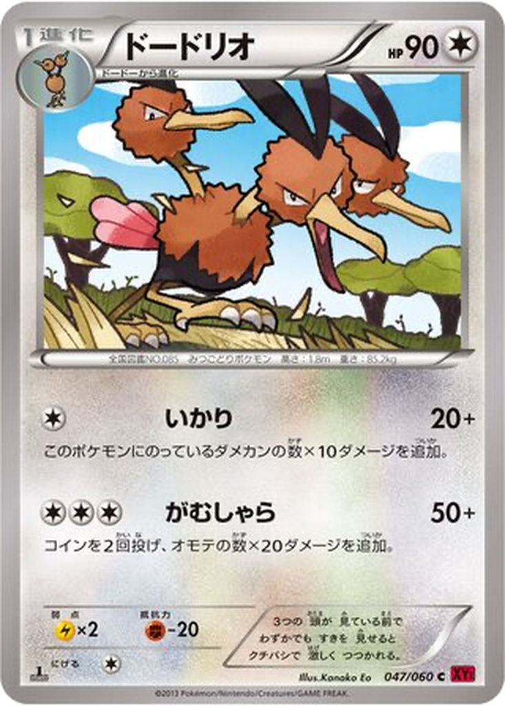 Dodrio 47 - Collection Y kart görseli