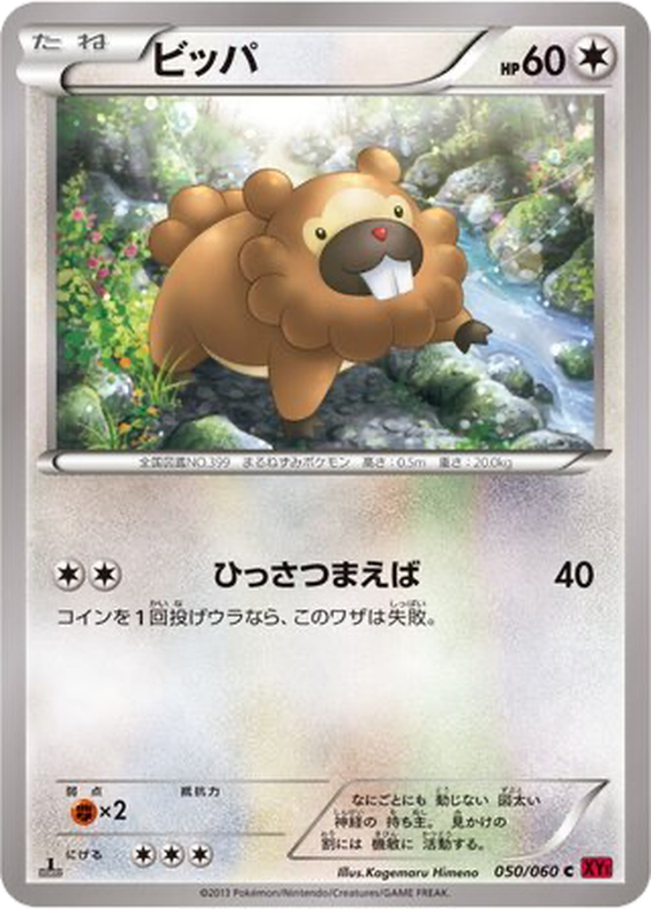 Bidoof 50 - Collection Y kart görseli