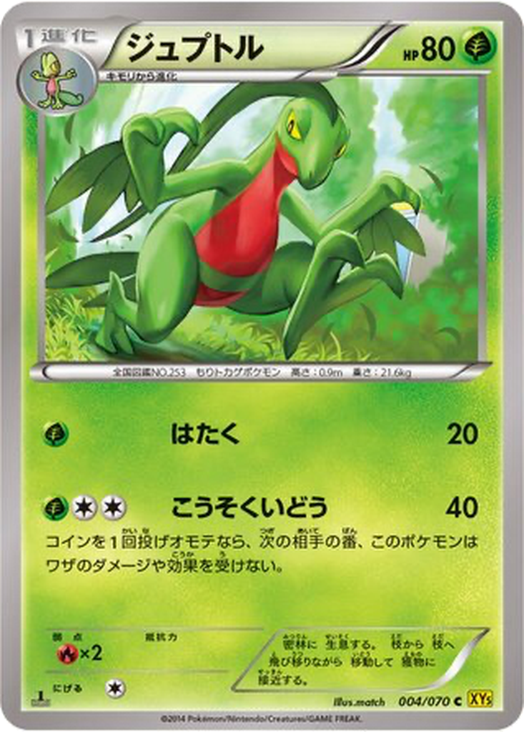 Grovyle 4 - Gaia Volcano kart görseli