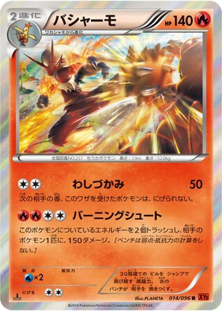 Blaziken 14 - Rising Fist kart görseli