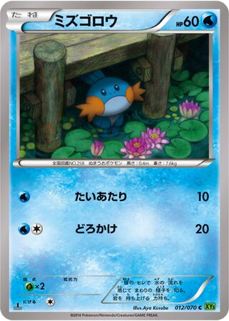 Mudkip 12 - Tidal Storm kart görseli