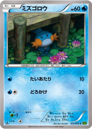 Mudkip kart görseli