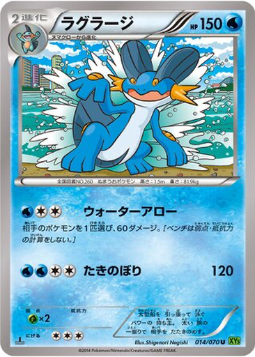 Swampert kart görseli