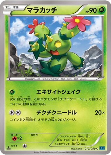 Maractus kart görseli